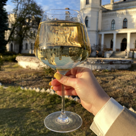 Келих для вина Gallant Wine (950 мл)