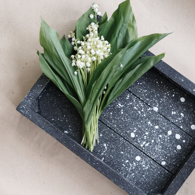 Поднос-фотофон Toso Splash