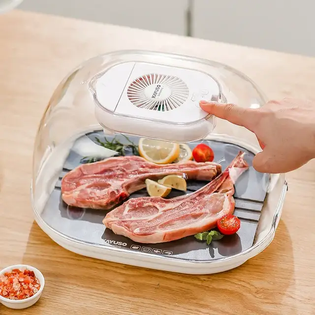 Бытовой размораживатель продуктов Frost