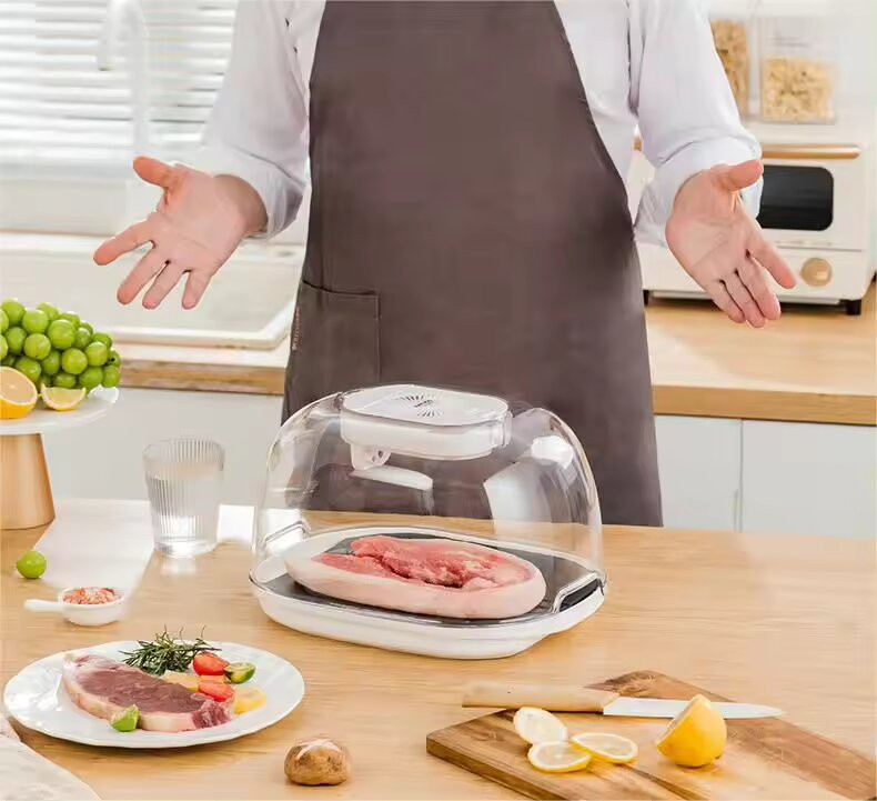 Бытовой размораживатель продуктов Frost