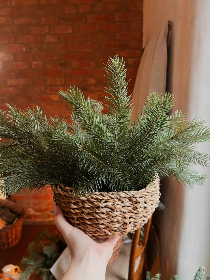 Плетена корзина Treat