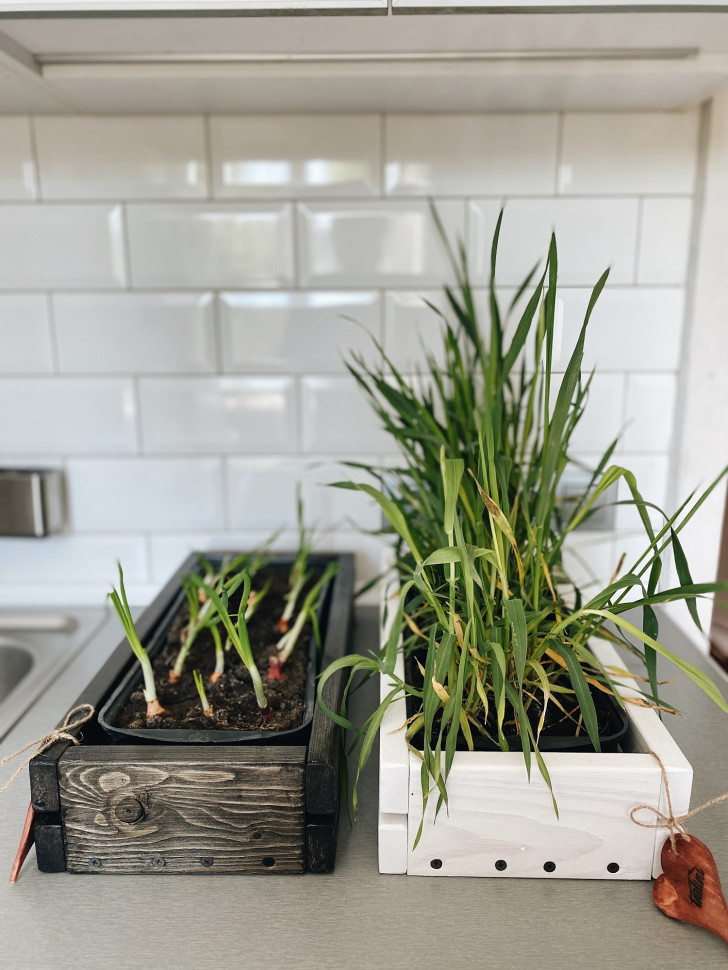 Горшок для зелени Tsveti