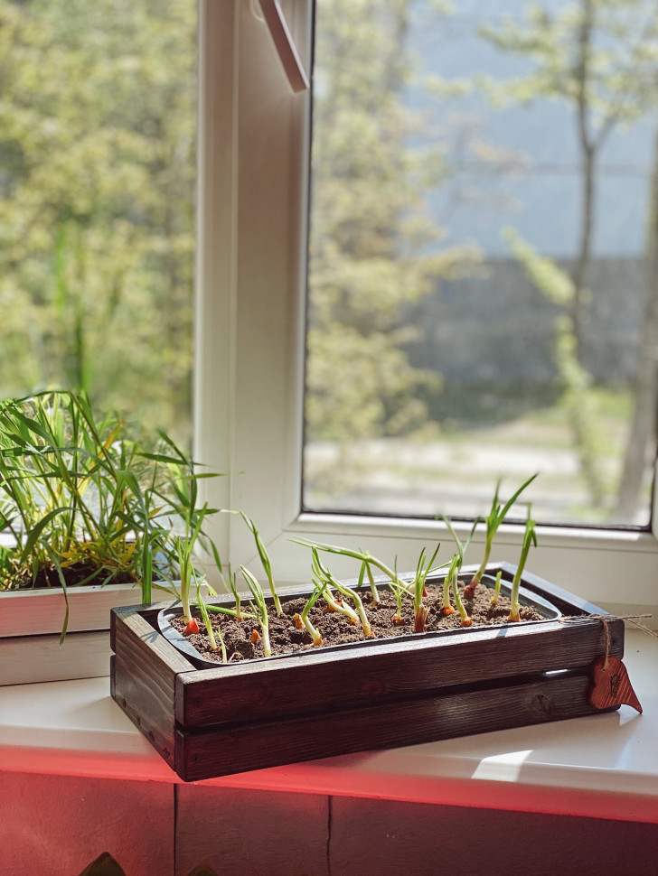 Горшок для зелени Tsveti