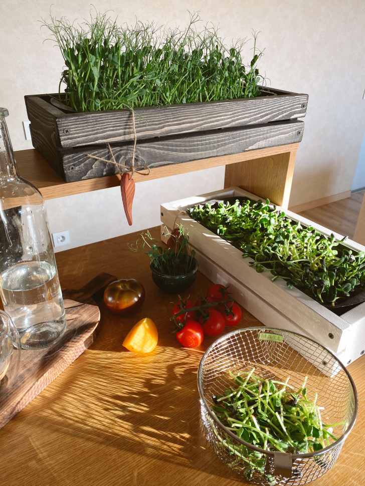 Горшок для зелени Tsveti