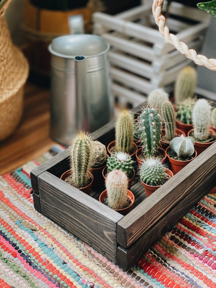 Горшок для зелени Tsveti