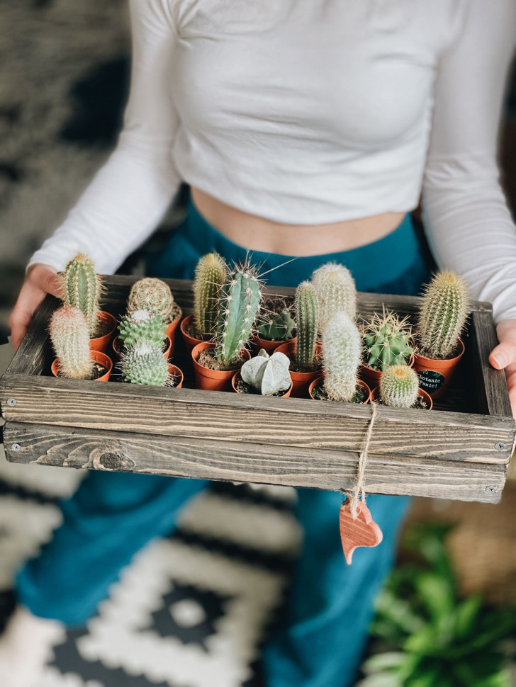 Горшок для зелени Tsveti