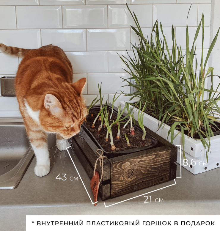 Горшок для зелени Tsveti