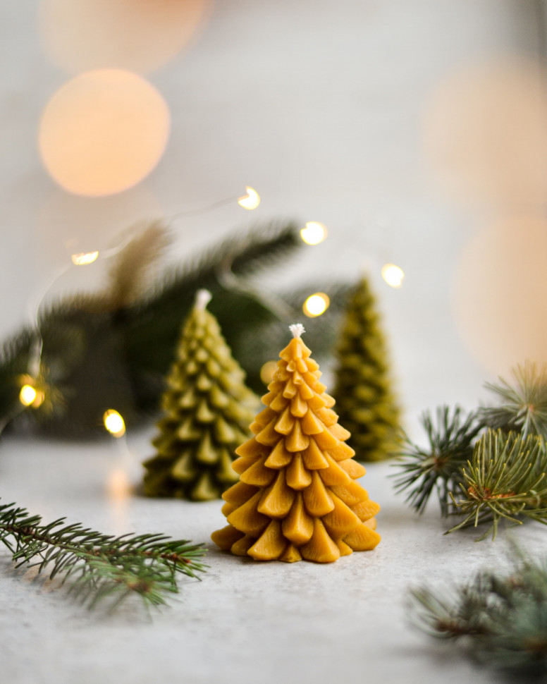 Свічка Spruce