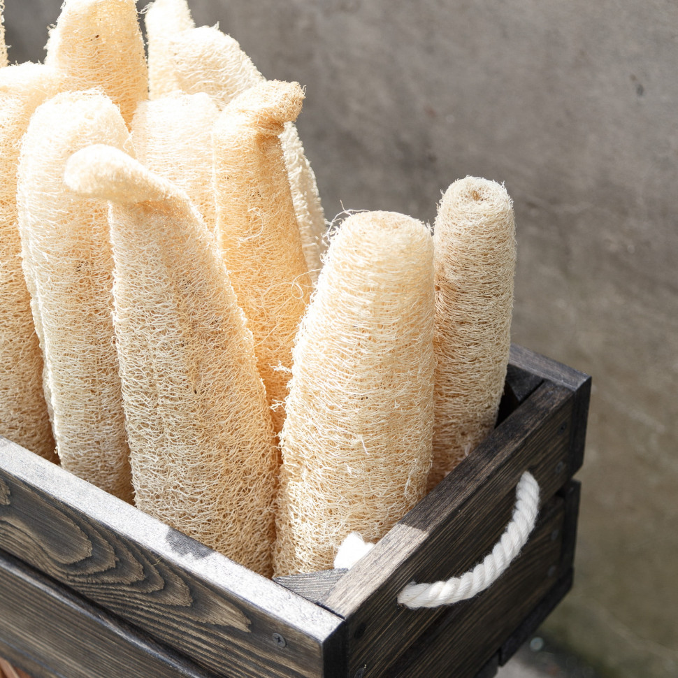 Люфа (мочалка) Sponge