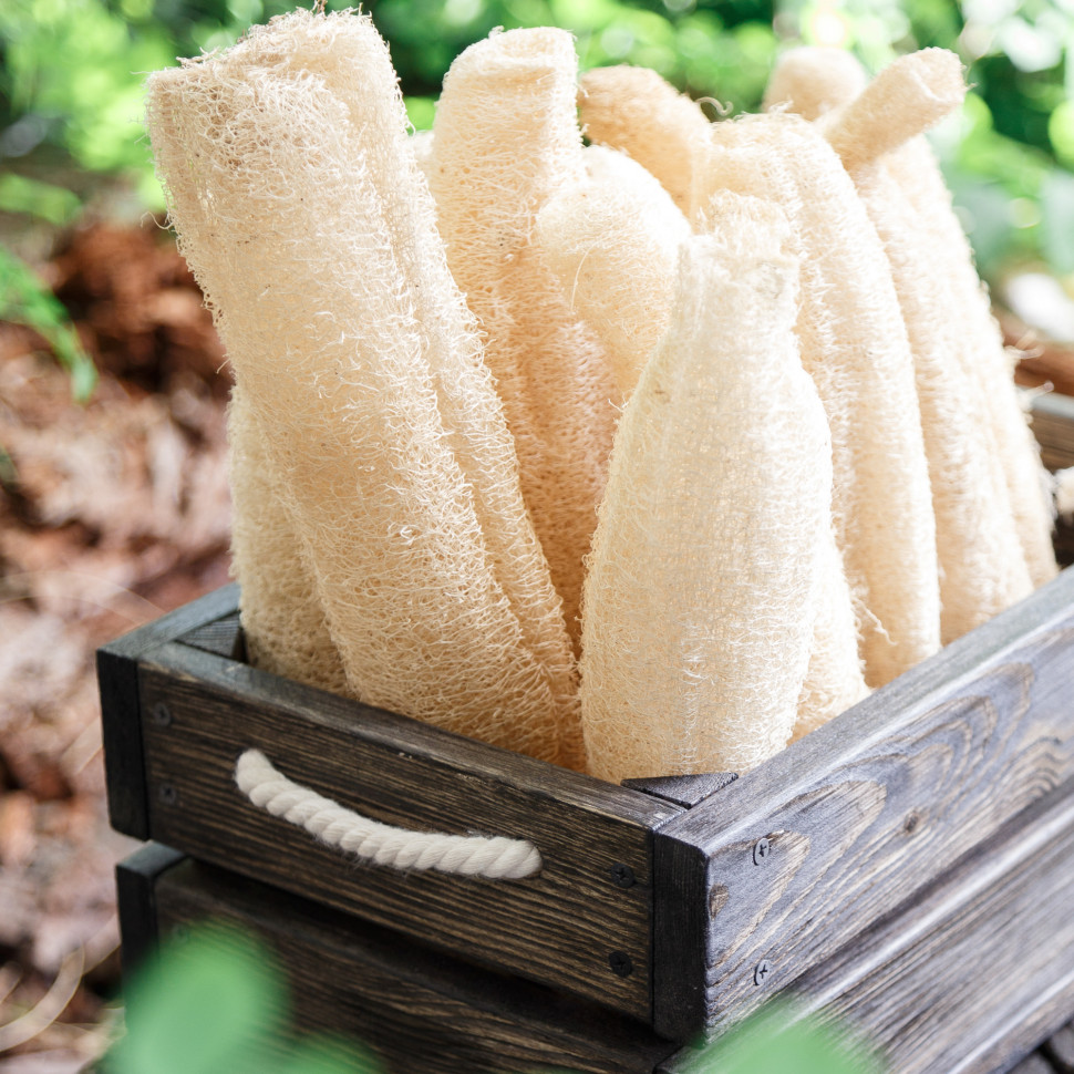 Люфа (мочалка) Sponge