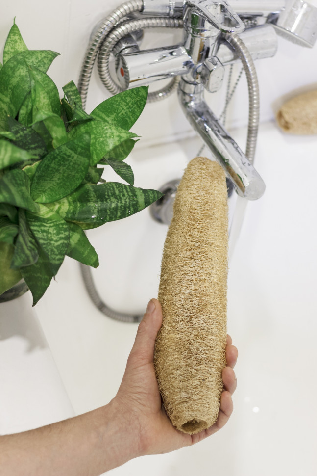 Люфа (мочалка) Sponge