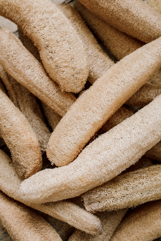 Люфа (мочалка) Sponge