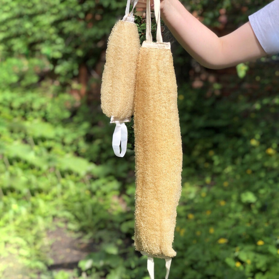 Люфа (мочалка) Sponge