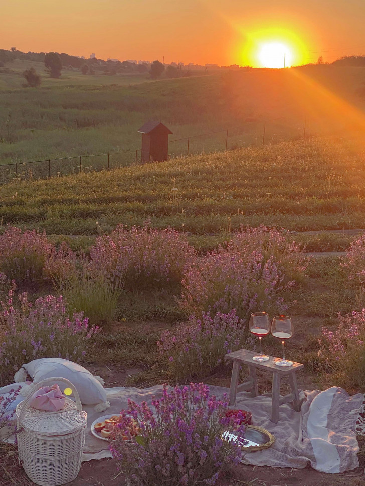 Кошик для пікніка Lawn