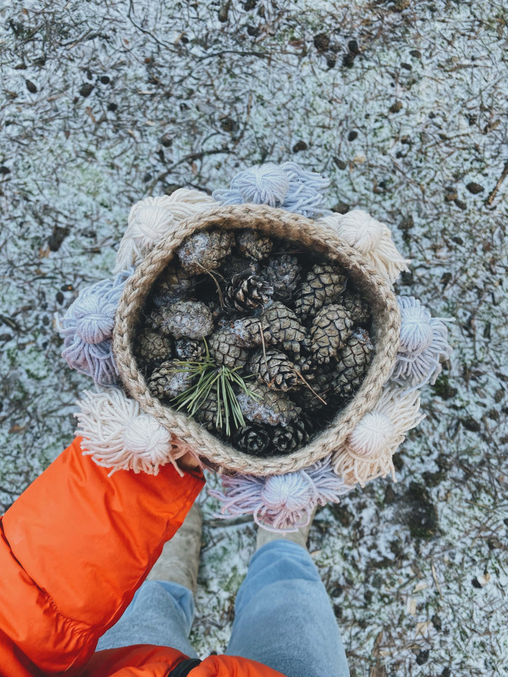 Кошик з пензликами Meringa