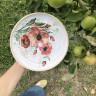 Керамическая тарелка Gardenia
