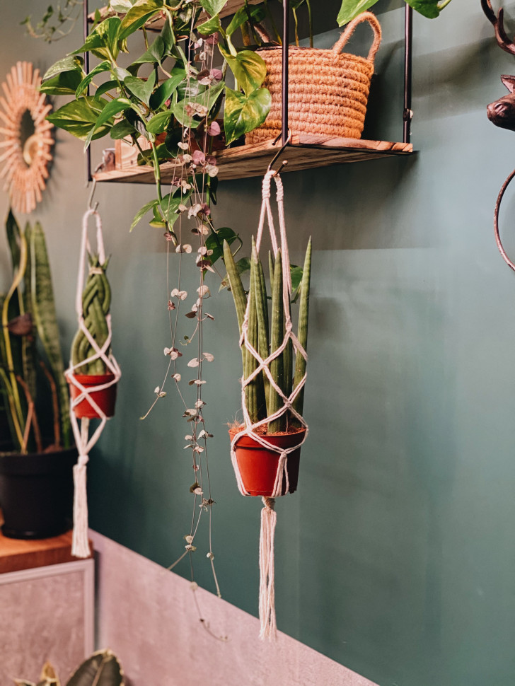 Авоська для бутылки Vine not