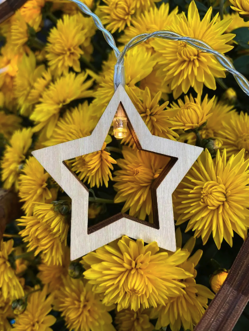 Гирлянда Starry