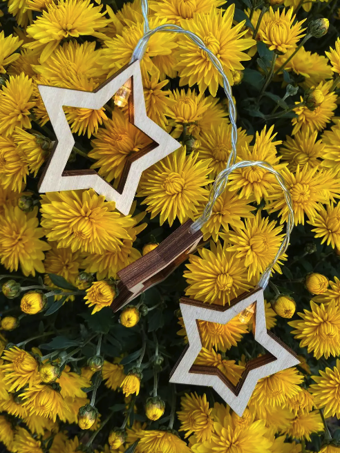 Гирлянда Starry