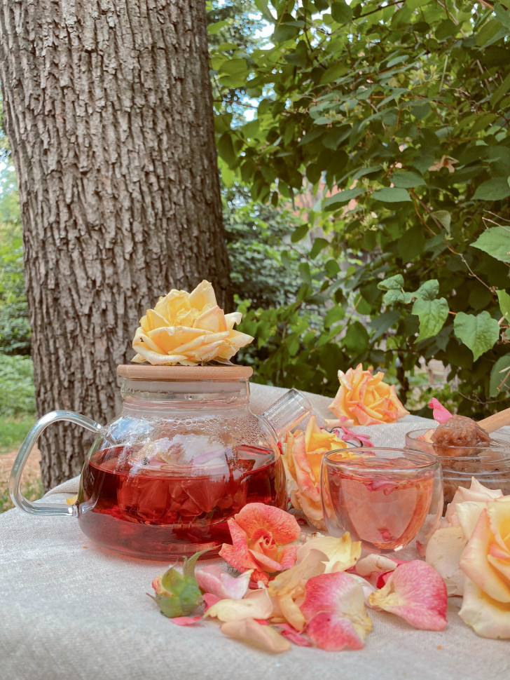 Прозорий скляний чайник для заварювання Kombucha 650 мл