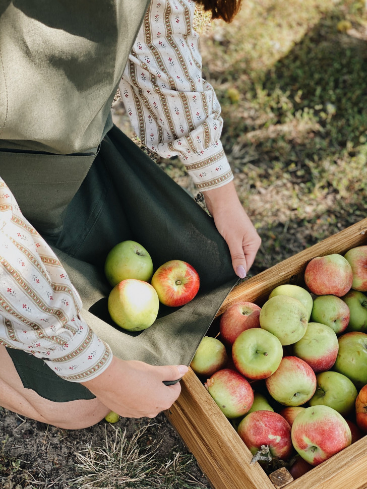 Бавовняний фартух Holly