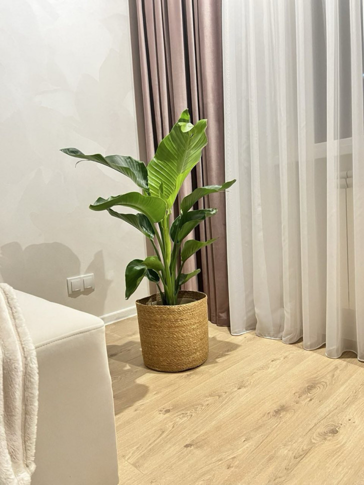 Плетеное кашпо Twine 