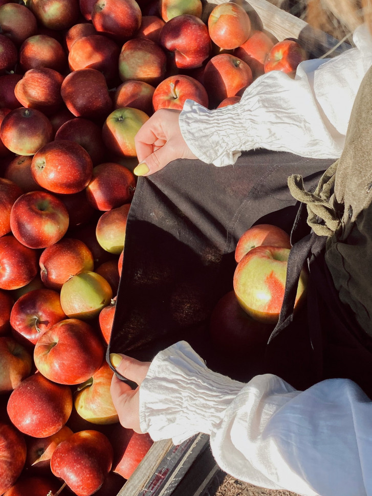 Лляний фартух Grass Black