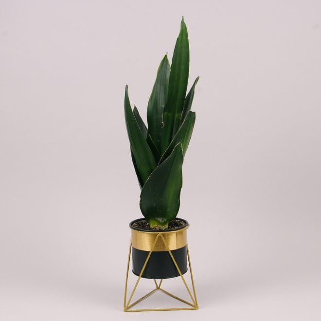 Металеве кашпо на підставці Delta