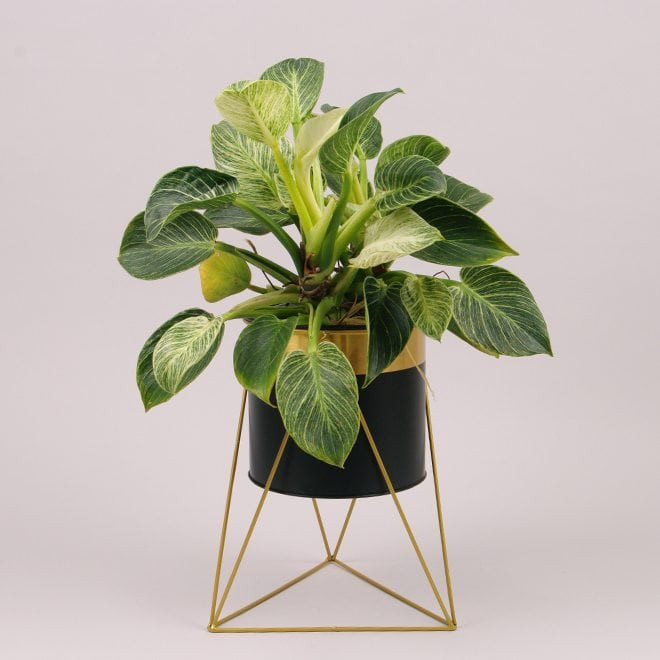 Металеве кашпо на підставці Delta