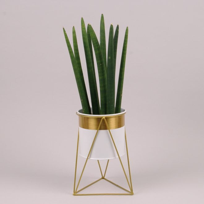 Металеве кашпо на підставці Delta