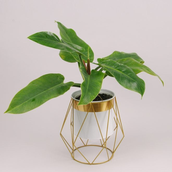 Металеве кашпо на підставці  Rhombus