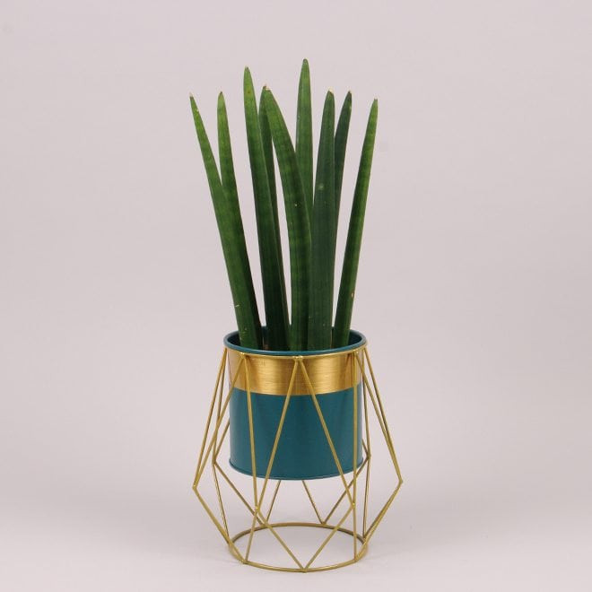 Металеве кашпо на підставці  Rhombus