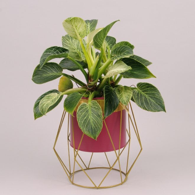 Металеве кашпо на підставці  Rhombus