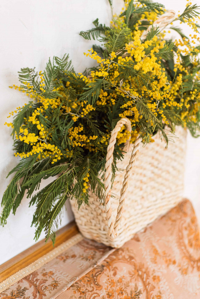 Сумка-корзина Samba