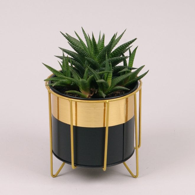 Металеве кашпо на підставці Circle