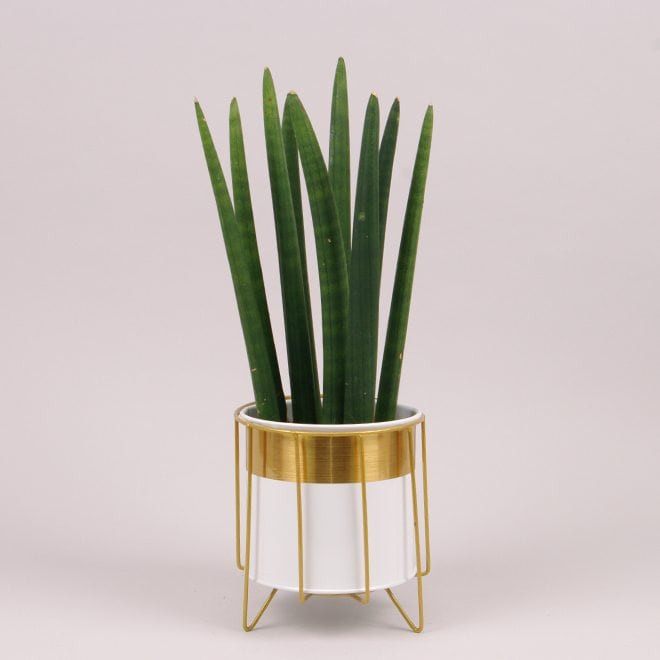 Металеве кашпо на підставці Circle