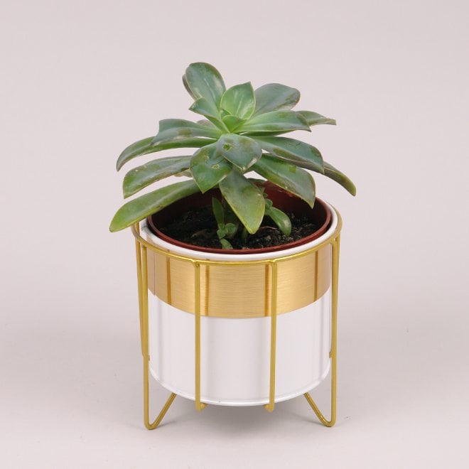 Металеве кашпо на підставці Circle