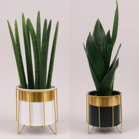 Металлическое кашпо на подставке Circle