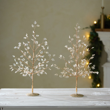 Декоративне дерево Golden Whisper