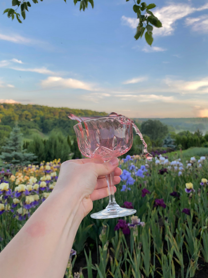 Кришталевий келих Crystaline 240 мл