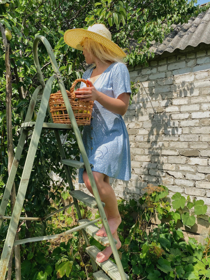 Корзина Camellia