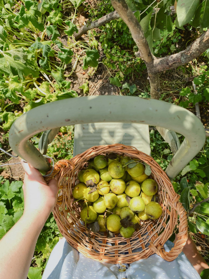 Корзина Camellia