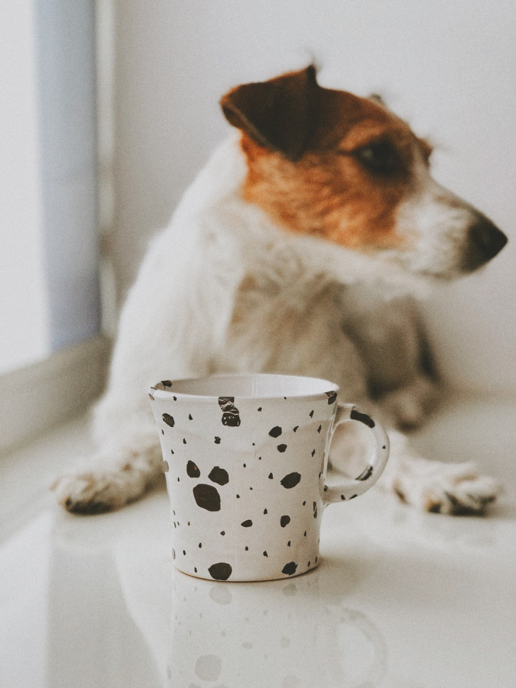 Керамическая кружка Milky