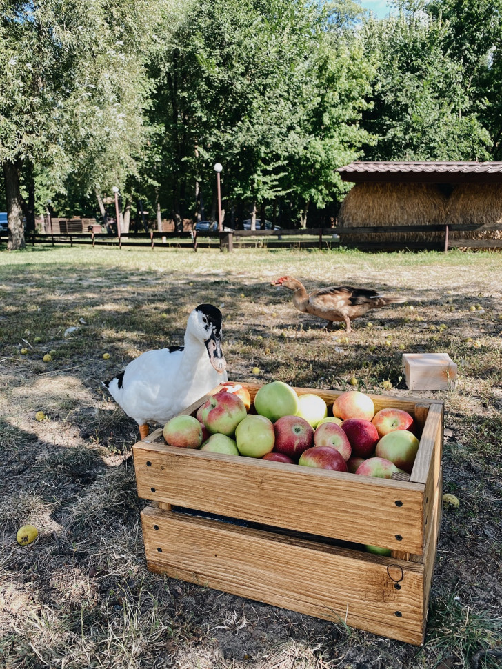 Деревянный ящик Bart brown