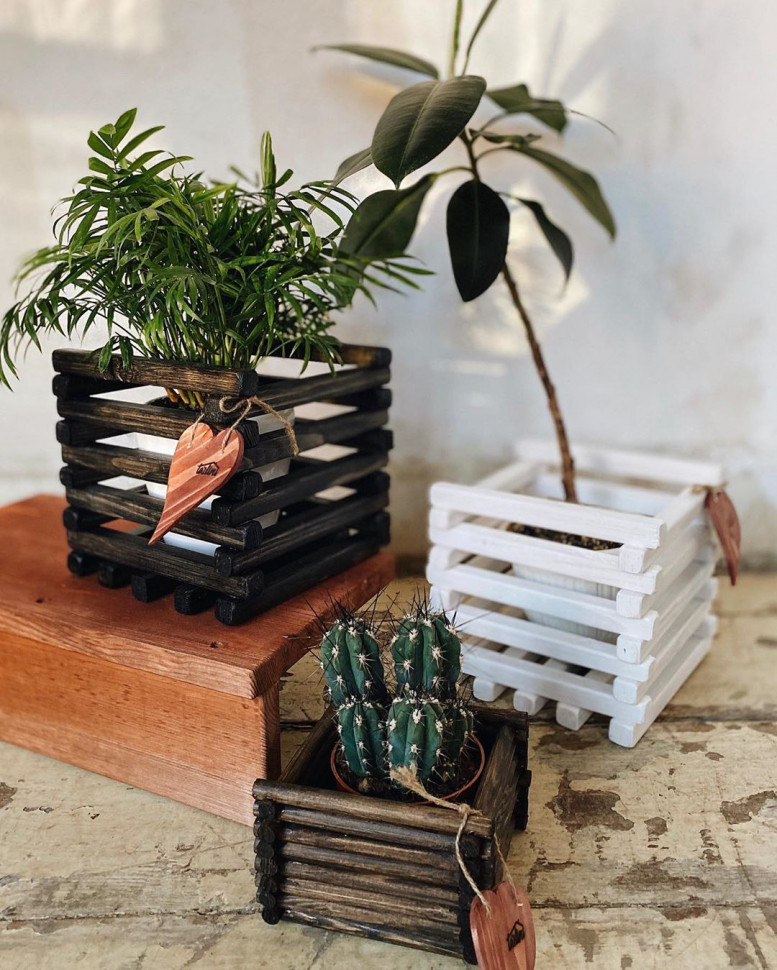 Кашпо для цветов Chococo