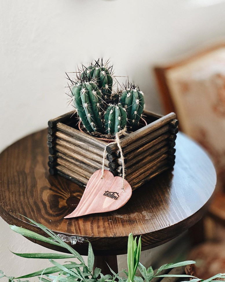 Кашпо для цветов Chococo