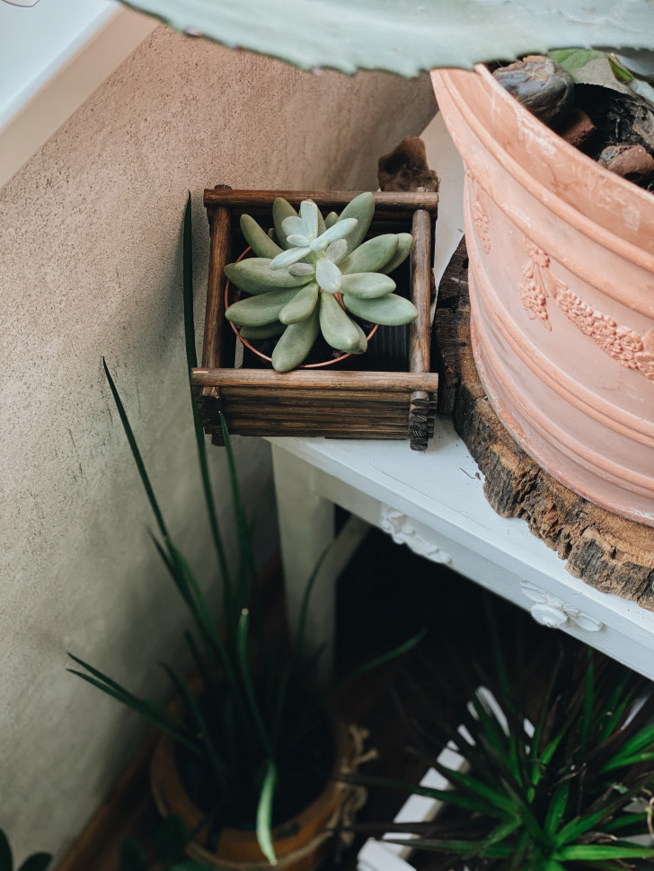 Кашпо для цветов Chococo