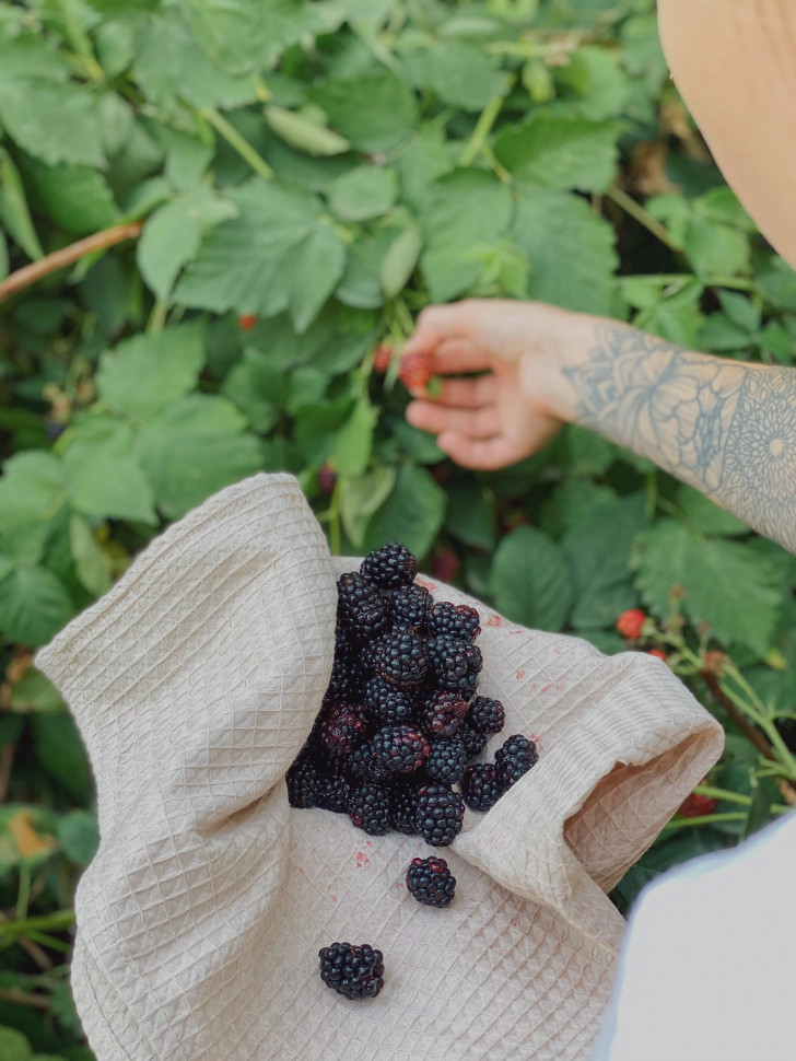 Кухонний рушник Dotted