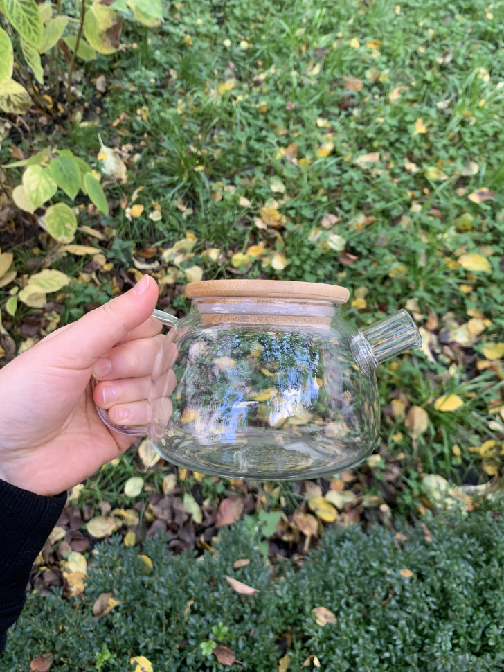 Заварочный чайник Jagger Уценка