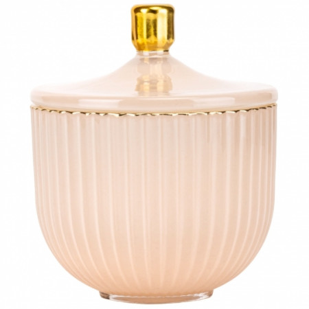 Ємність для зберігання Push (в 4 кольрах)